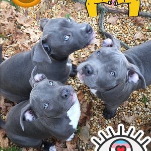 Meet your Posher, Erika